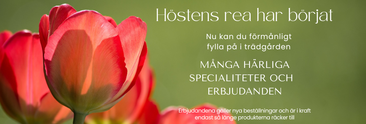 00Varastotyhjennys syksy23SE